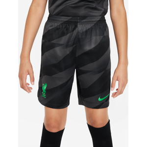 Liverpool FC 2023/24 Stadium Goalkeeper Nike Dri-FIT-fodboldshorts til større børn - grå grå S