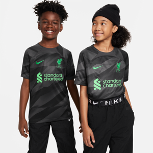 Kortærmet Liverpool FC 2023/24 Stadium Goalkeeper Nike Dri-FIT-fodboldtrøje til større børn - grå grå XS
