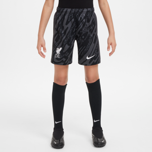 Liverpool FC 2024/25 Stadium Goalkeeper Nike Dri-FIT Replica-fodboldshorts til større børn - grå grå XL