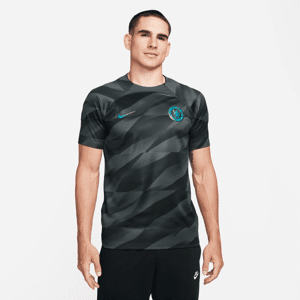 Kortærmet Chelsea FC 2023/24 Stadium Goalkeeper Nike Dri-FIT-fodboldtrøje til mænd - grå grå XS