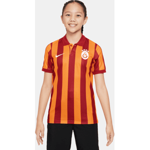 Galatasaray 2023/24 Stadium Third-Nike Dri-FIT-fodboldtrøje med korte ærmer til større børn - Orange Orange L