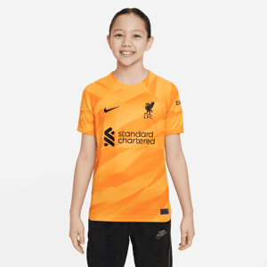 Kortærmet Liverpool FC 2023/24 Stadium Goalkeeper Nike Dri-FIT-fodboldtrøje til større børn - gul gul XS