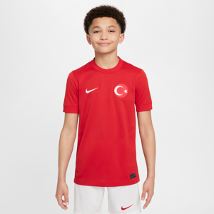 Tyrkiet 2024/25 Stadium Away Nike Dri-FIT-fodboldtrøje til mænd - rød rød L