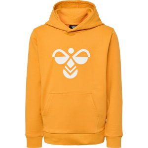 Hummel Kids' hmlCUATRO Hoodie Butterscotch 116, Butterscotch