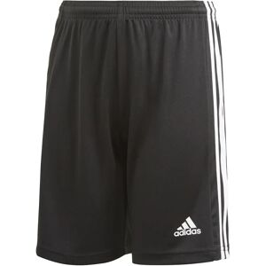 Adidas Squadra 21 Shorts Unisex Bukser Sort 152