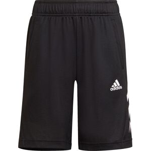 Adidas Aeroready Shorts Unisex Shorts Sort 128