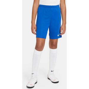 Nike Drifit Park 3 Træningsshorts Unisex Shorts Blå 147158 / L