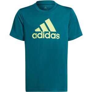 Adidas Designed To Move Big Logo Tshirt Drenge Tøj Grøn 128