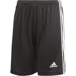 Adidas Squadra 21 Shorts Unisex Bukser Sort 128