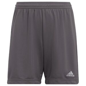 Adidas Performance Shorts - Entrada 22 - Grå - Adidas Performance - 14 År (164) - Shorts