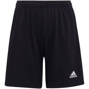 Adidas Performance Shorts - Ent22 - Sort - Adidas Performance - 6 År (116) - Shorts