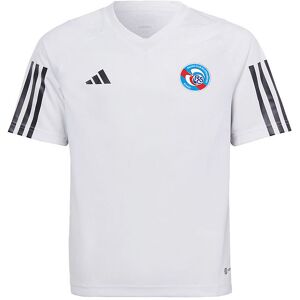 Adidas Performance Fodboldtrøje - Rcsa Tr Jsy Y - Hvid - Adidas Performance - 8 År (128) - Fodboldtrøje