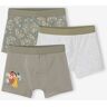 Pack de 3 boxers Disney® El Rey León caqui