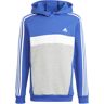 Adidas 3 stripes sudadera niño Azul (176)