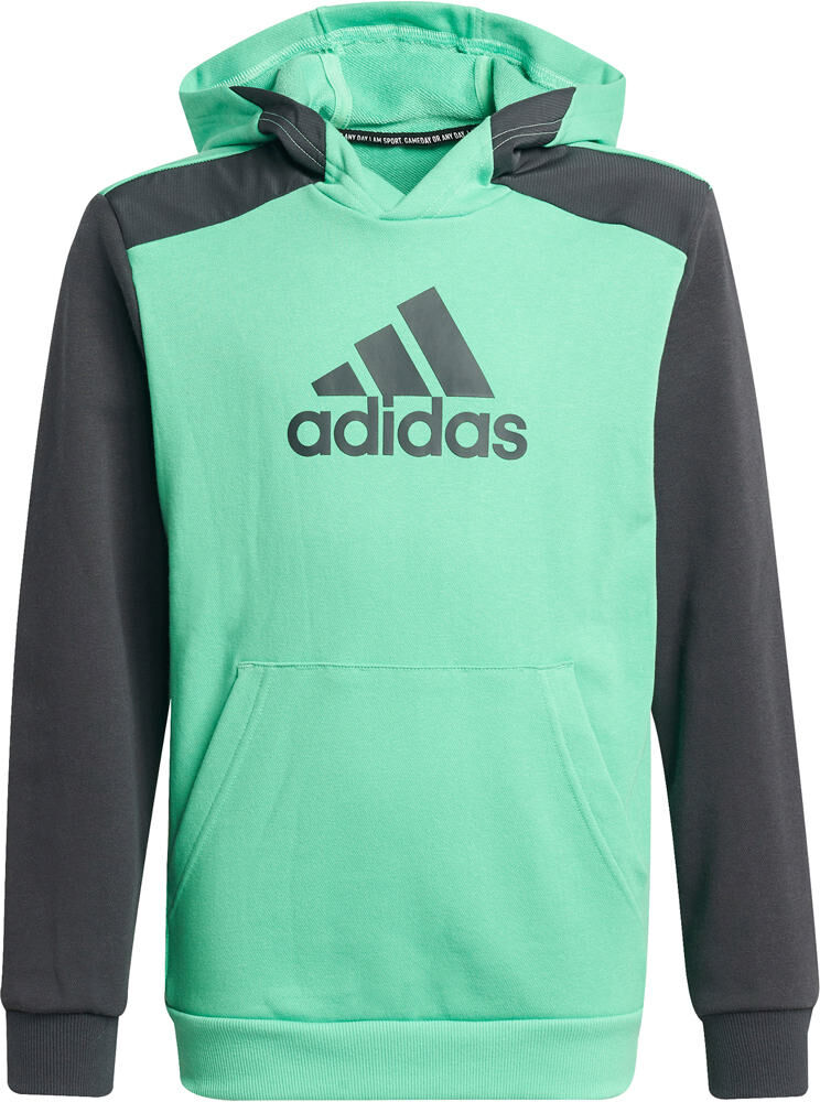 Adidas logo sudadera niño Verde (128)