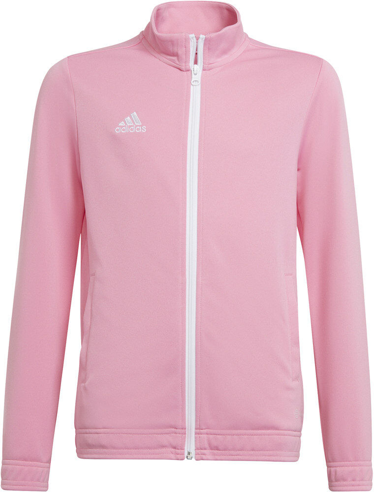 Adidas entrada 22 sudadera niño Rosa (164)