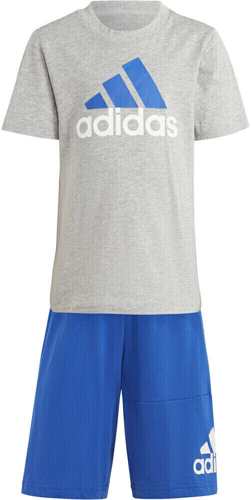 Adidas conjunto y essentials logo conjunto junior Gris (110)