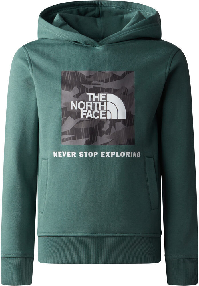 The North Face box camiseta montaña manga larga niño Verde (XXL)