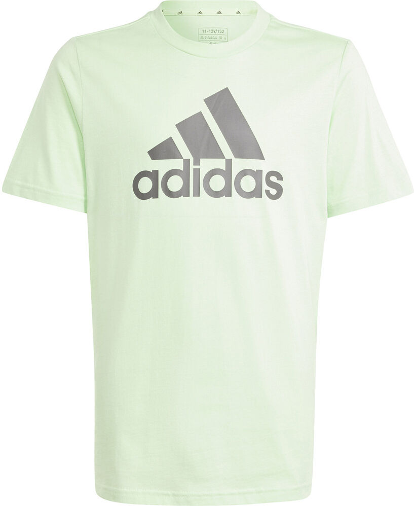 Adidas essentials big logo cotton camiseta manga corta niño Verde (176)