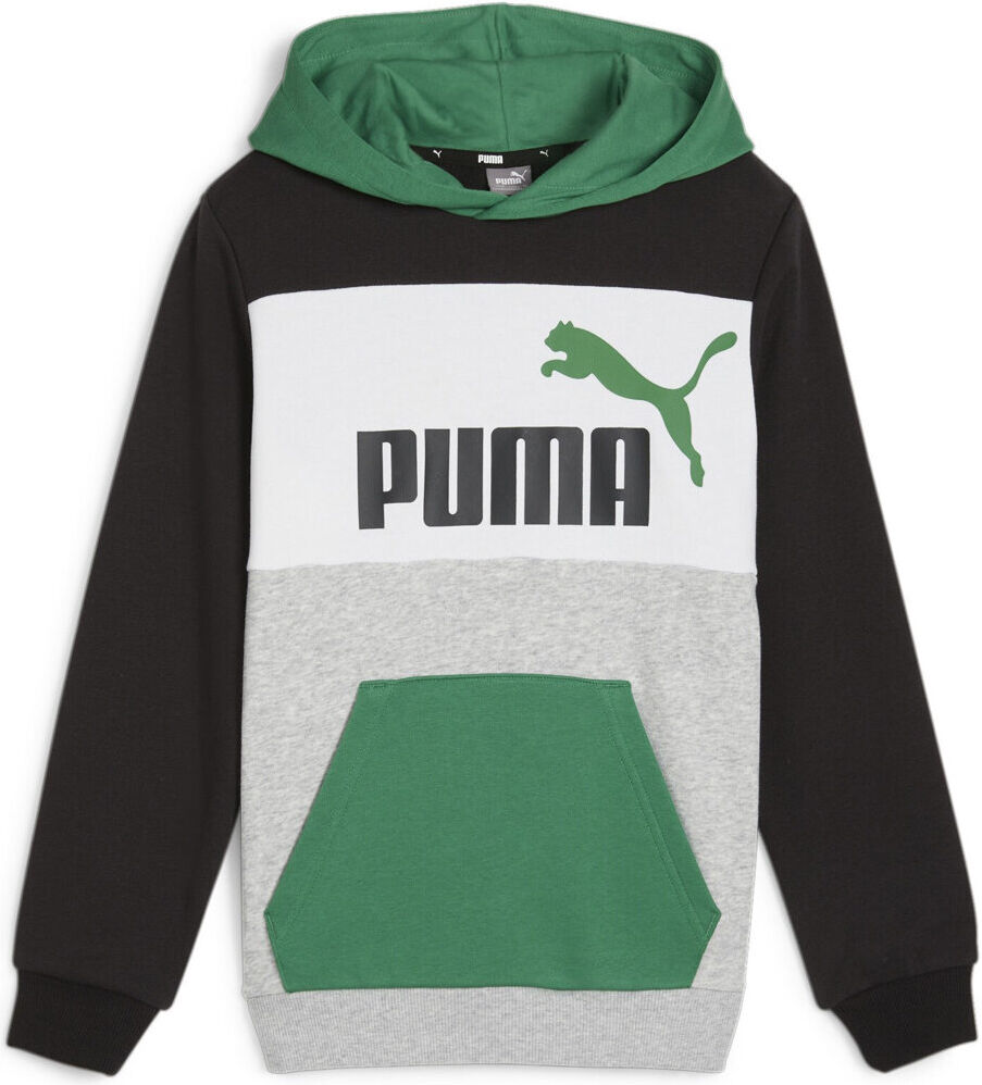 Puma essentials block sudadera niño Verde (176)