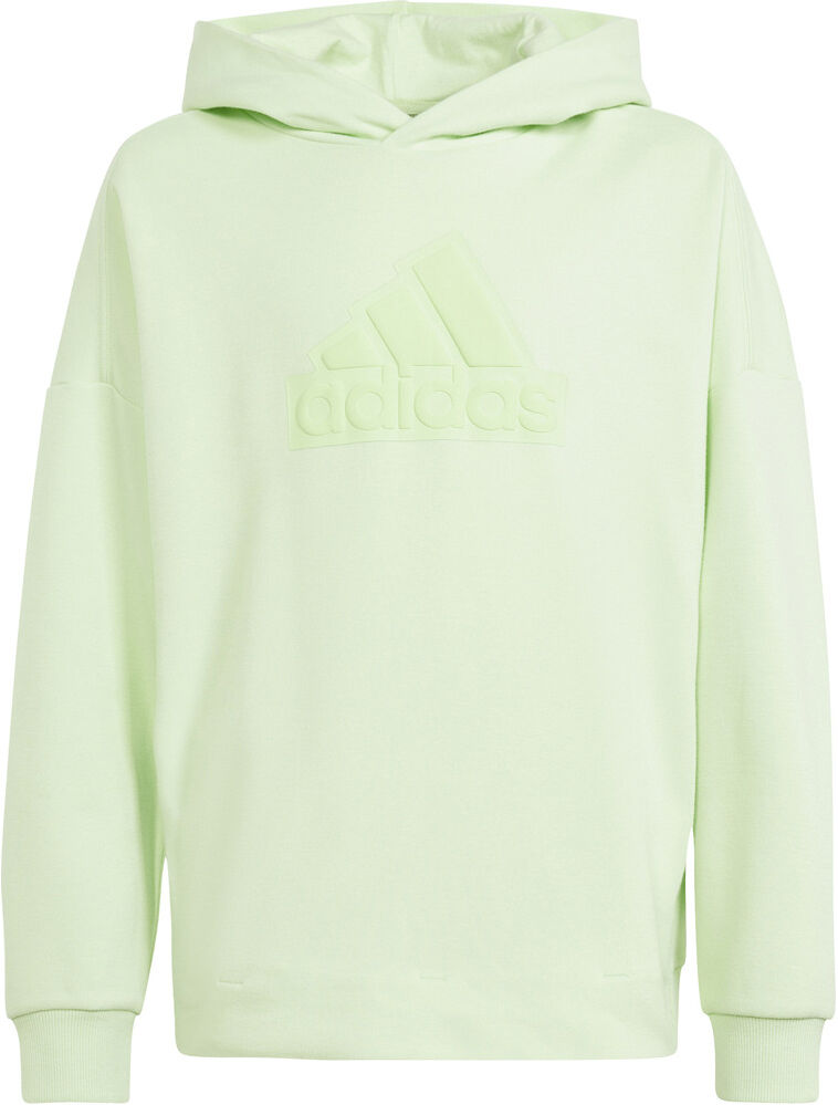 Adidas future icons logo sudadera niño Verde (176)