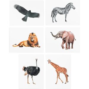 TATTonMe Temporary Tattoos Set Animals tatouage pour enfant 3 y+ 6 pcs