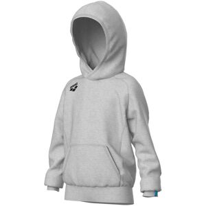 Sweatshirt à capuche enfant Arena Team Panel Gris - Publicité