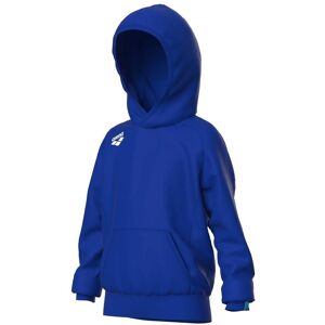 Sweatshirt à capuche enfant Arena Team Panel Bleu - Publicité