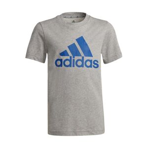 Adidas T-shirt manica corta da ragazzo T-Shirt Manica Corta bambino Grigio taglia 15/16