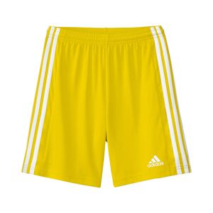 adidas Pantaloncini Shorts Ragazzi Unisex Squadra 21 Youth Giallo