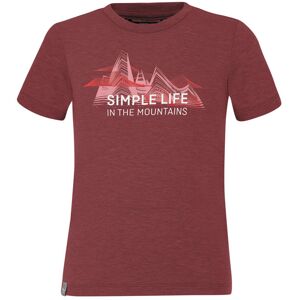 Salewa Simple Life Dri-Rel K - T-shirt - bambino Dark Red/Red/Pink 104