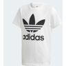 adidas Trefoil T-shirt White / Black 110,116,122,128,134,140,146,152,158,164,170,176 Kinderen