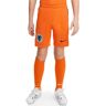 Nike KNVB Nederlands Elftal Thuisbroekje 2024-2025 Kids Oranje 152