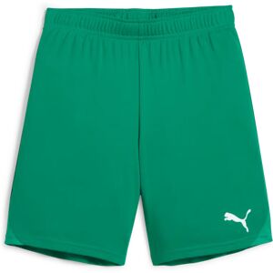 Puma teamGOAL Shorts, fotballshorts, junior Sport Green-White