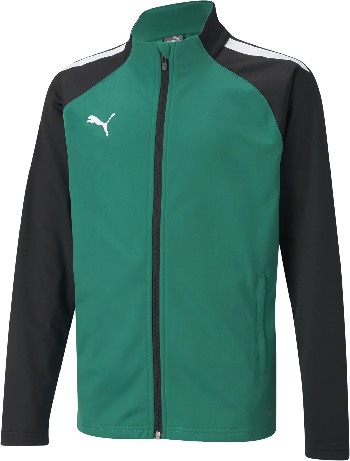 Puma teamLIGA Training Jacket Jr, treningsjakke junior 128 Pepper Green-Puma Bl