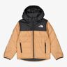 The North Face Never Stop Synthetic - Preto - Anorak Rapaz tamanho 10