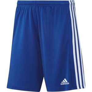 Team adidas adidas Squad21 Shorts, Royal/Vit, 164