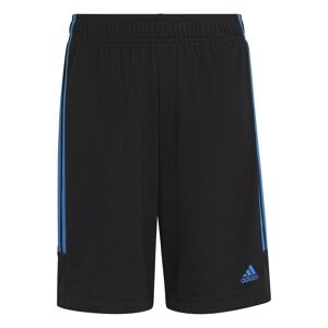 adidas Sereno Training Shorts Juniors - unisex - Black/Blue - 9-10 Years