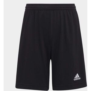 adidas ENT22 Shorts Juniors - unisex - Black - 5-6 Years