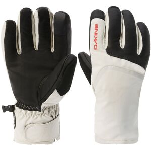 Dakine Fillmore Goretex Short Glove Silver Lining L SILVER LINING