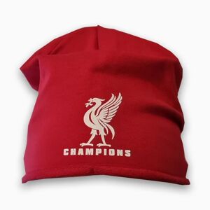 Highstreet Liverpool style Champions beanie hat - Liverbird ski hat Red one size