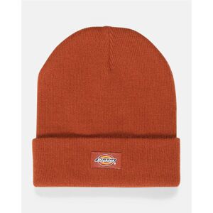 Dickies Beanie- Gibsland Grøn Female S