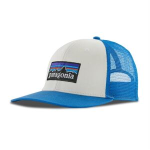 Patagonia P-6 Logo Trucker Hat