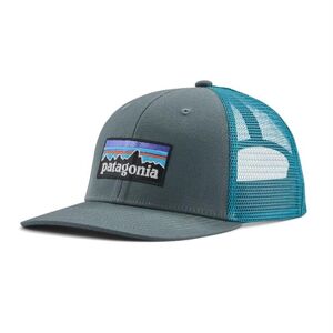 Patagonia P-6 Logo Trucker Hat