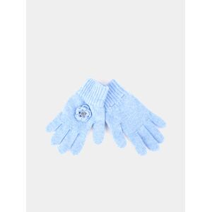 Lion of Porches Guantes Azul Medio