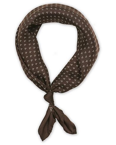 Ralph Lauren Dotted Scarf Brown