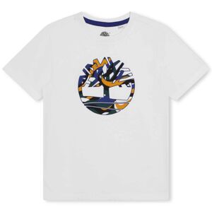 TIMBERLAND T-shirt avec logo arbre GARCON 4A Blanc - Publicité