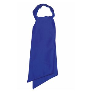 ISACCO Foulard Ascot Bleu Cyan