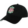 Liverpool FC Crest Cap