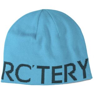 Arc Teryx Word Head Toque - berretto Light Blue